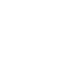 entity